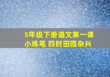 5年级下册语文第一课小练笔 四时田园杂兴